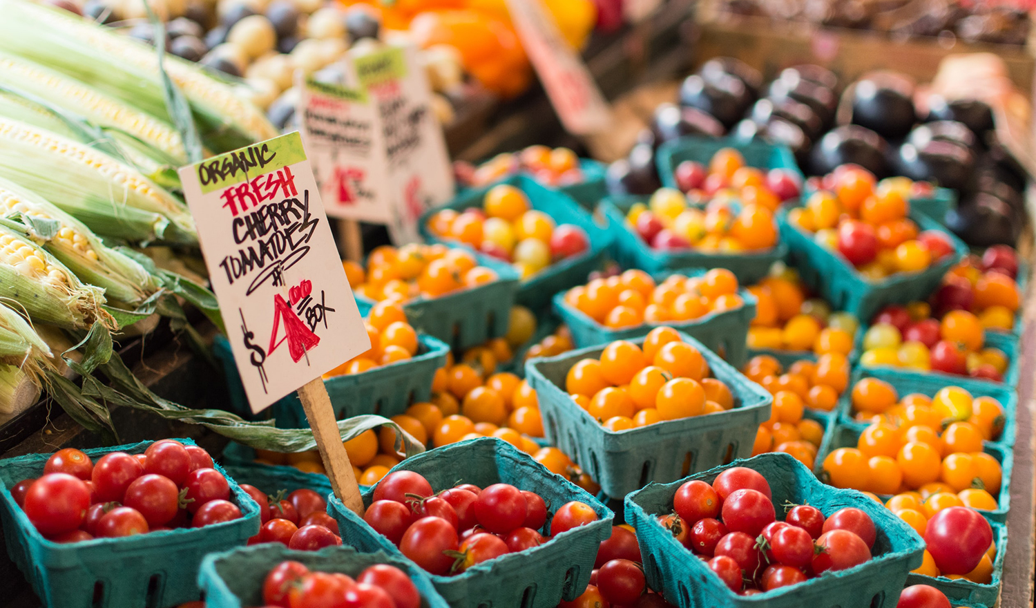 summer-farmer-markets-osbon-capital-management